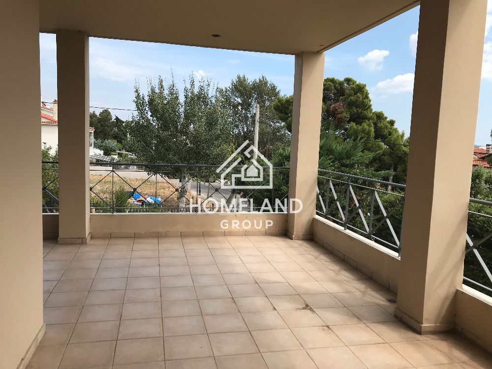 homelandgroup real estate agency