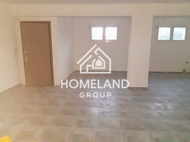 homelandgroup real estate agency