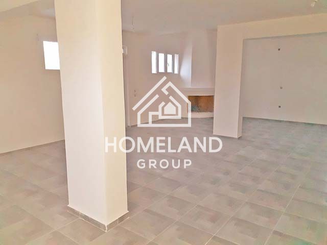 homelandgroup real estate agency