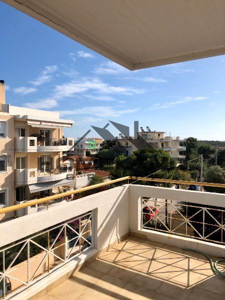 homelandgroup real estate agency