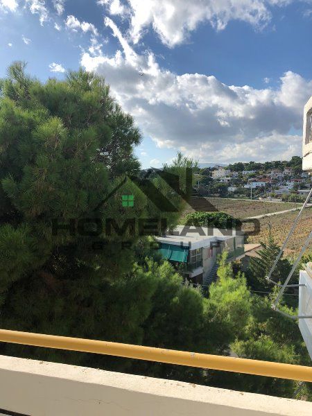 homelandgroup real estate agency