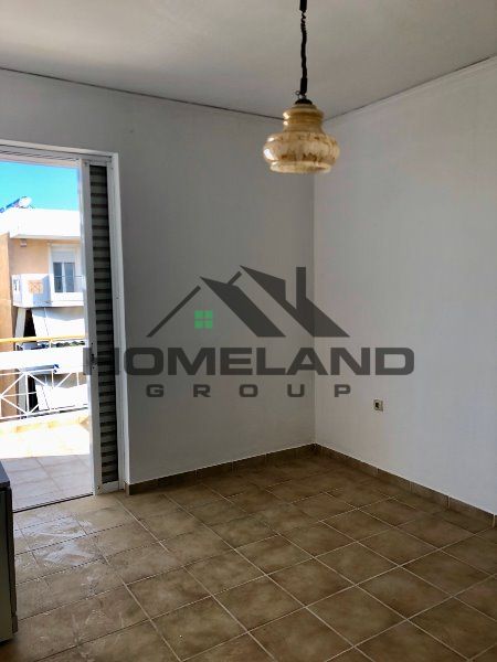homelandgroup real estate agency
