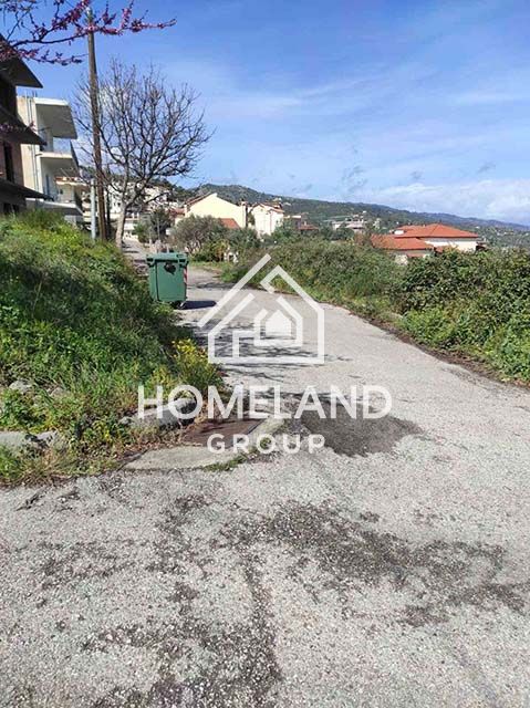 homelandgroup real estate agency