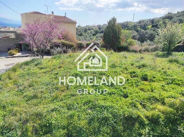 homelandgroup real estate agency