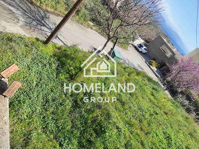 homelandgroup real estate agency