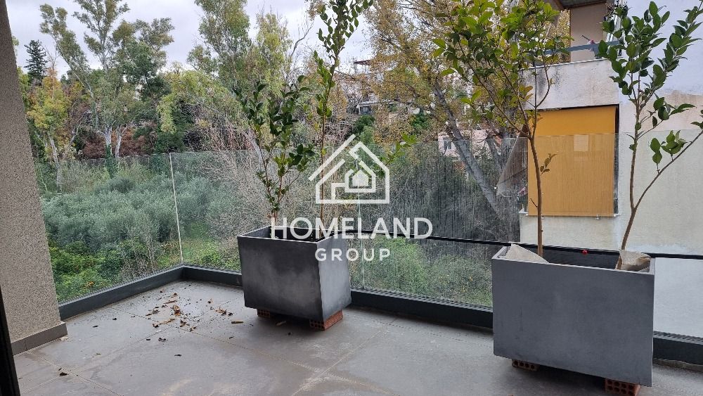 homelandgroup real estate agency