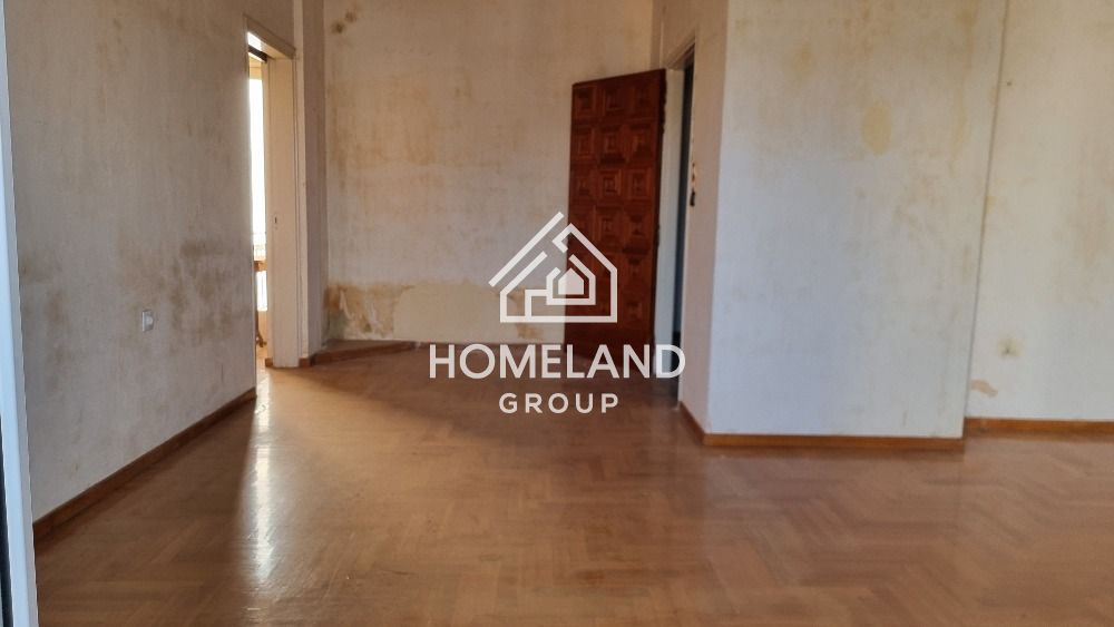 homelandgroup real estate agency