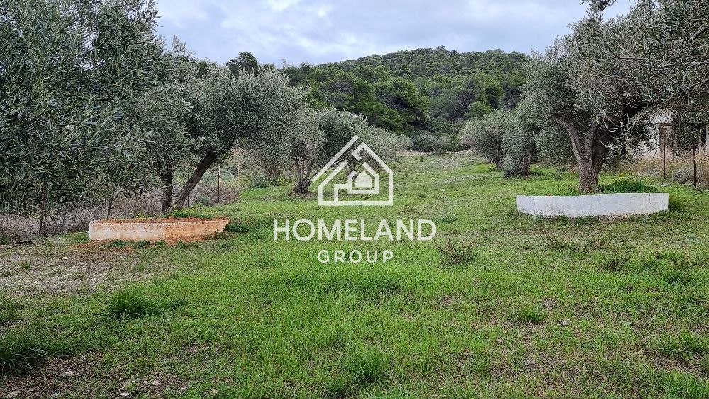 homelandgroup real estate agency