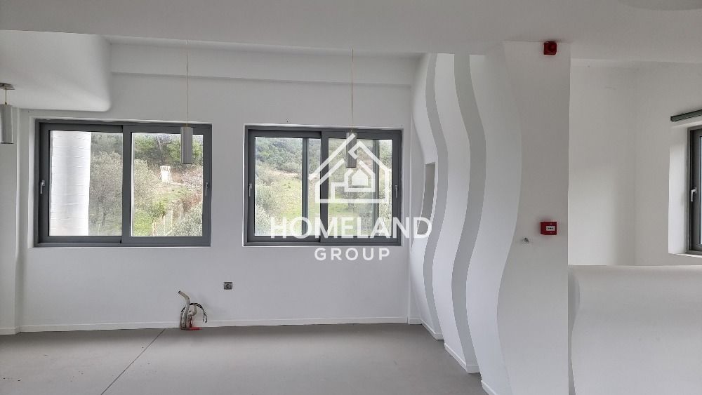 homelandgroup real estate agency