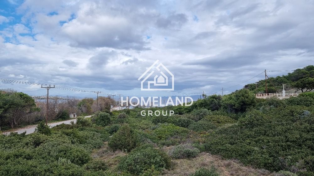 homelandgroup real estate agency