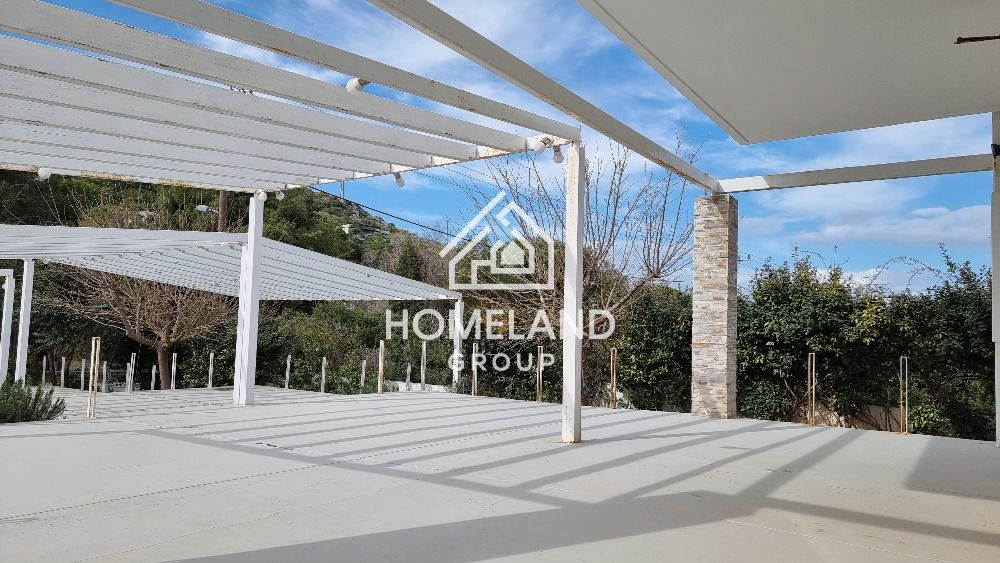 homelandgroup real estate agency