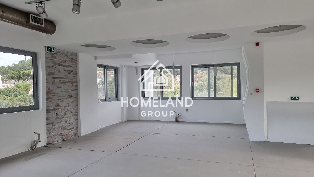 homelandgroup real estate agency