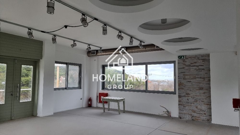 homelandgroup real estate agency