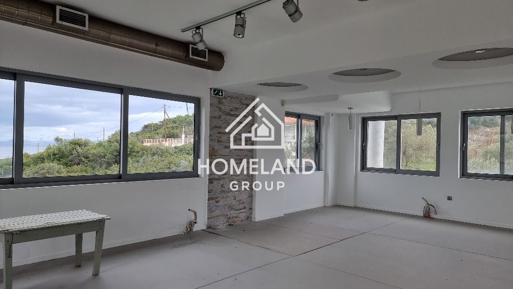 homelandgroup real estate agency