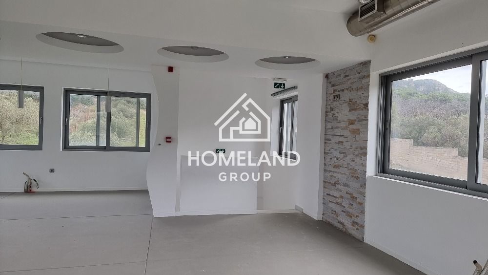homelandgroup real estate agency