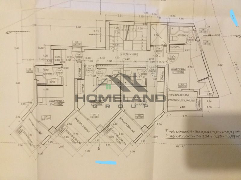 homelandgroup real estate agency