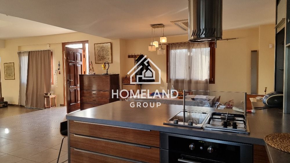 homelandgroup real estate agency