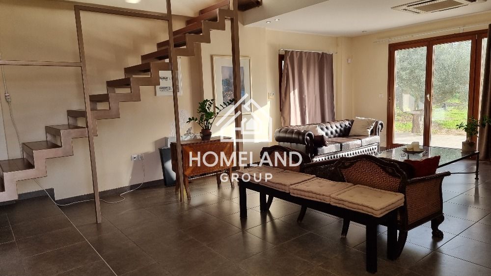 homelandgroup real estate agency