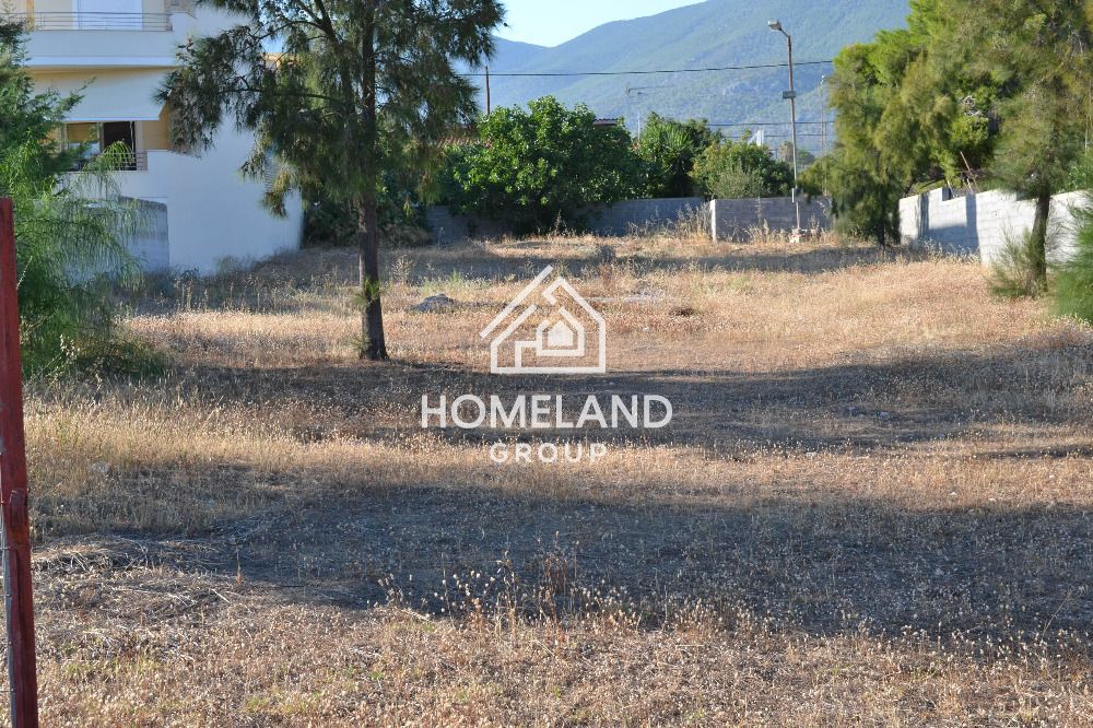 homelandgroup real estate agency