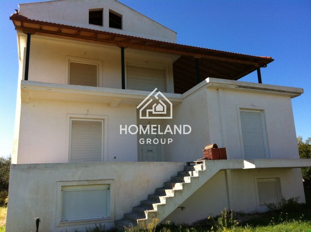 homelandgroup real estate agency