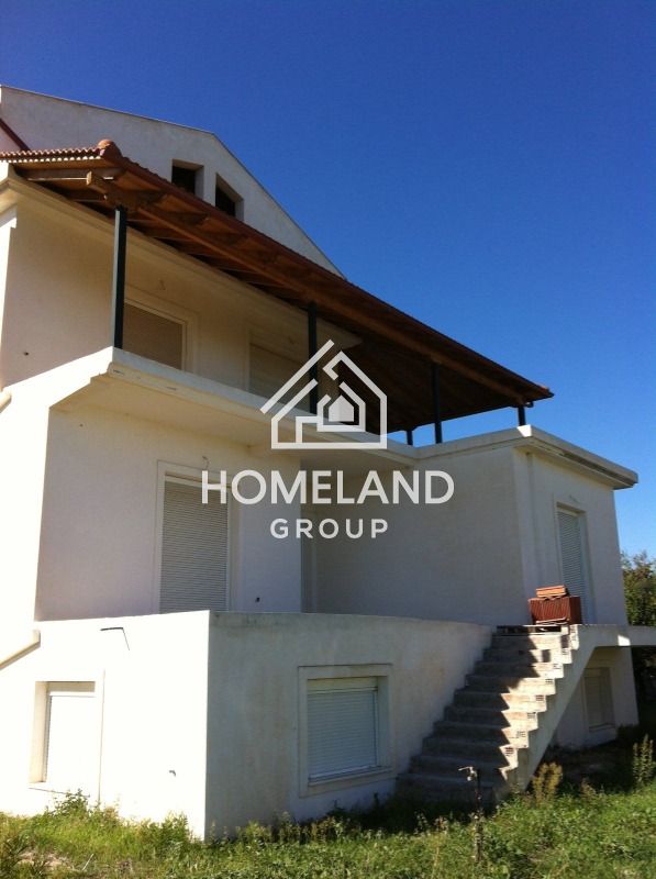 homelandgroup real estate agency
