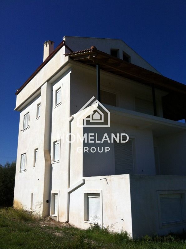 homelandgroup real estate agency