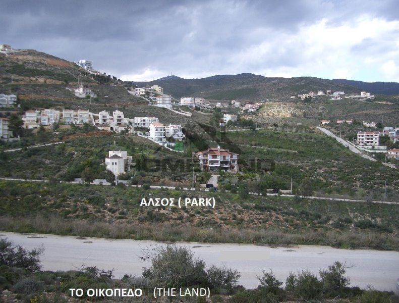 homelandgroup real estate agency