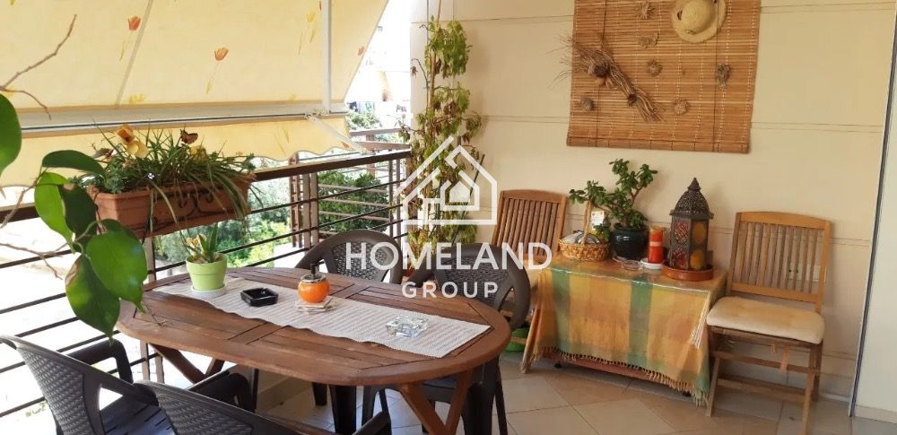 homelandgroup real estate agency