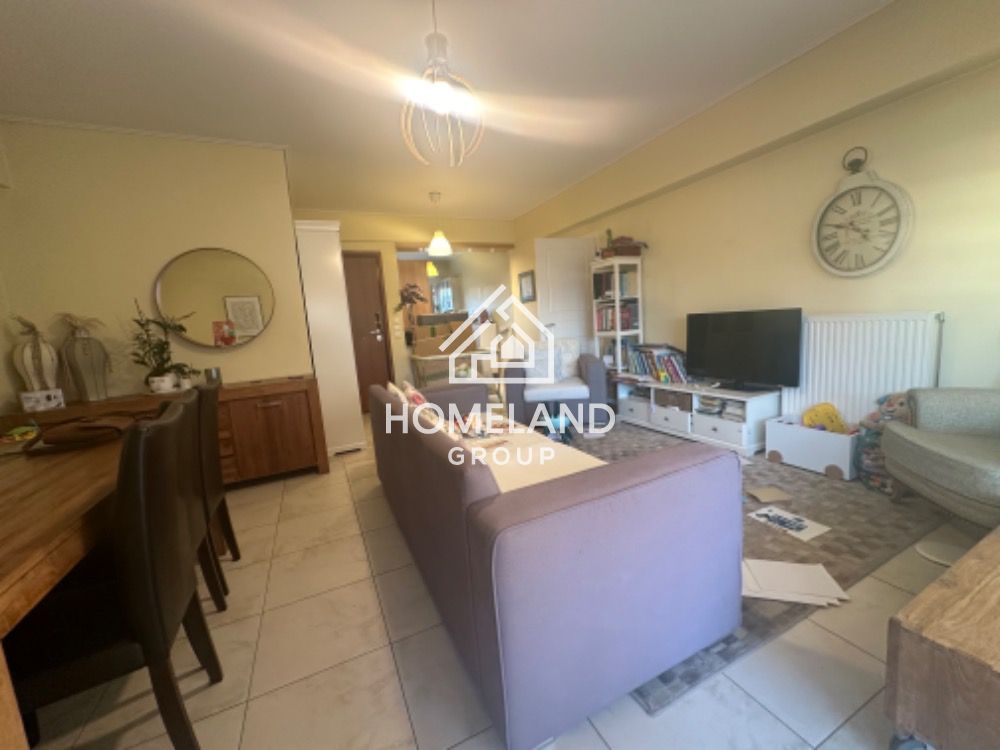 homelandgroup real estate agency