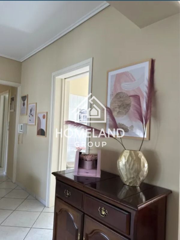 homelandgroup real estate agency