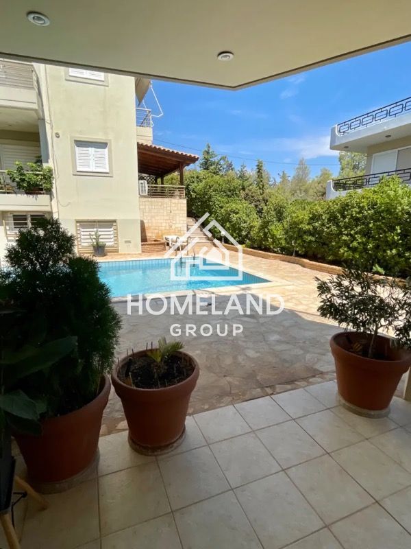 homelandgroup real estate agency