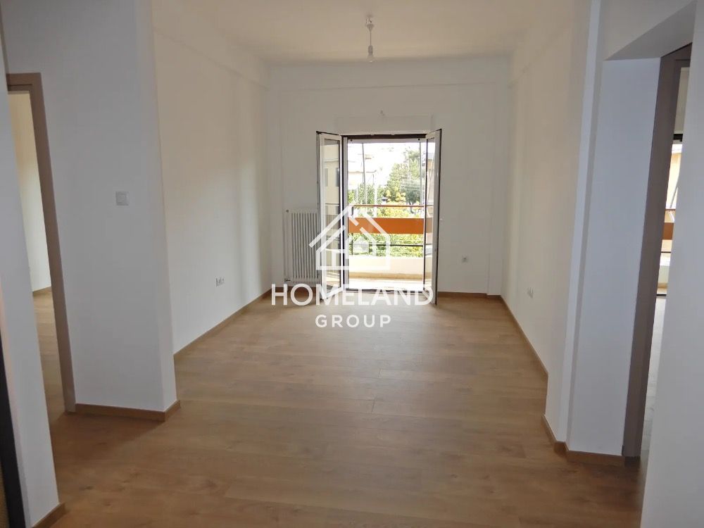 homelandgroup real estate agency