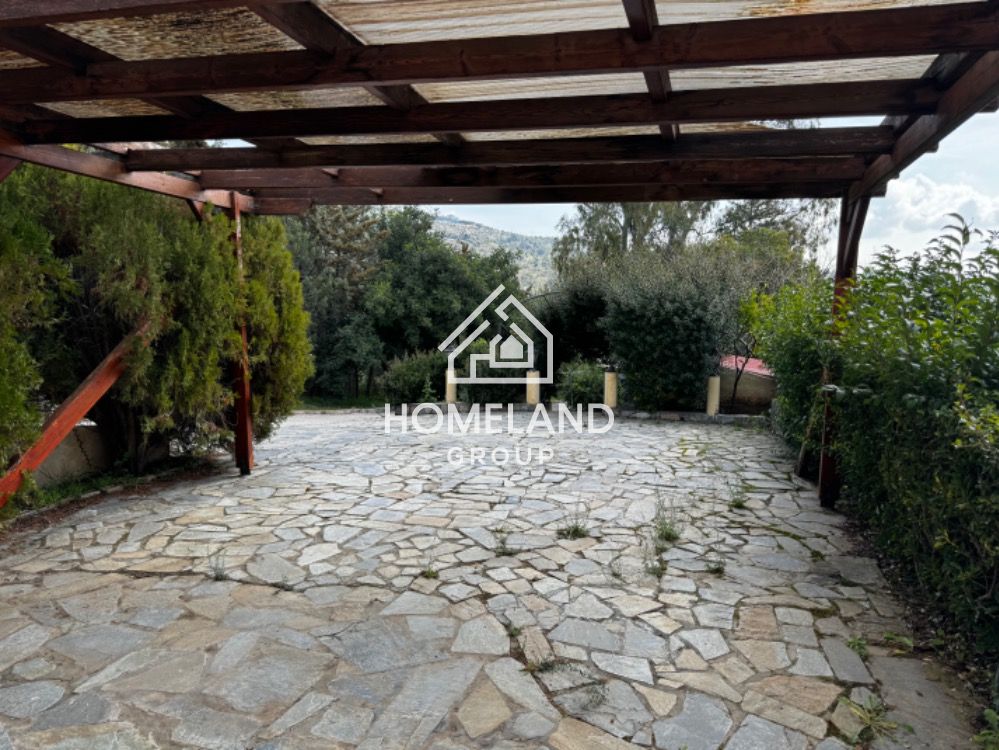 homelandgroup real estate agency