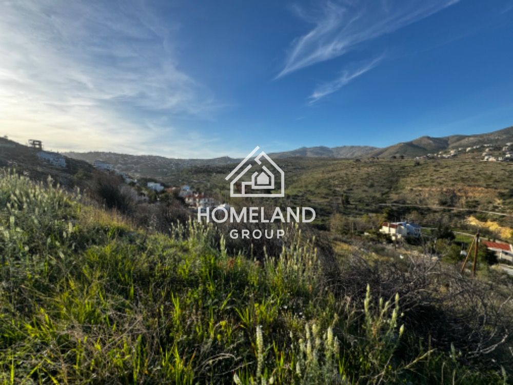 homelandgroup real estate agency