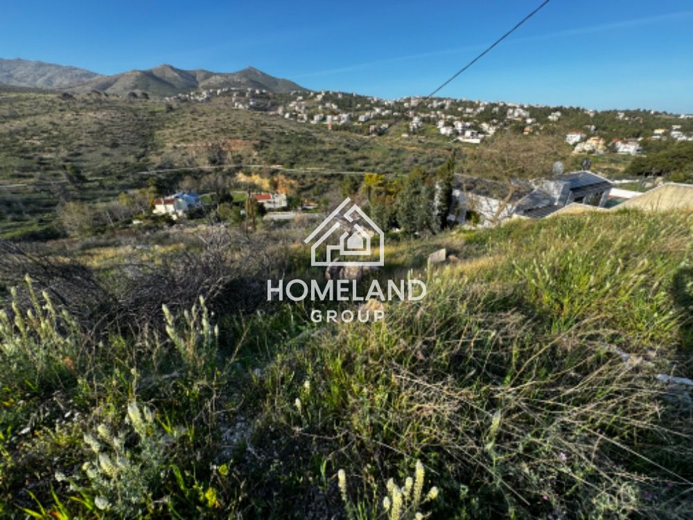 homelandgroup real estate agency