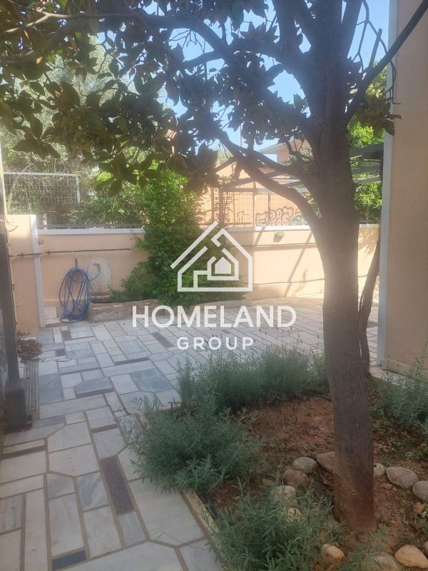 homelandgroup real estate agency