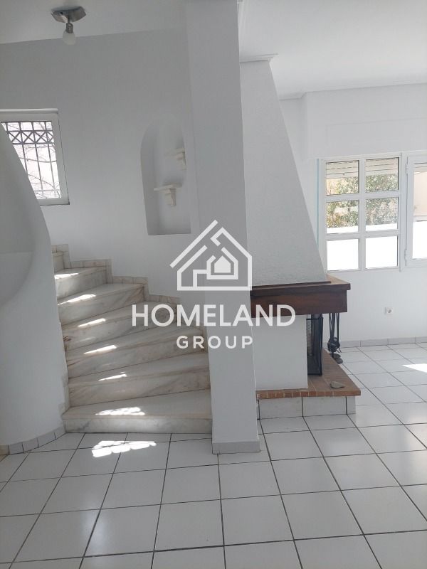 homelandgroup real estate agency