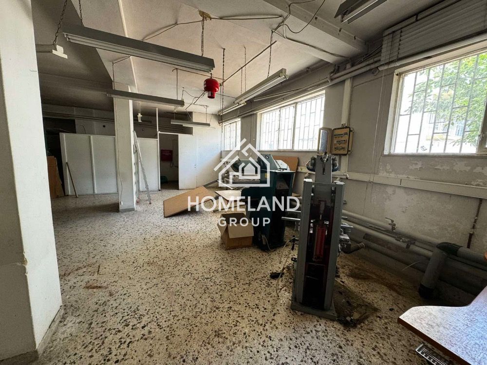 homelandgroup real estate agency