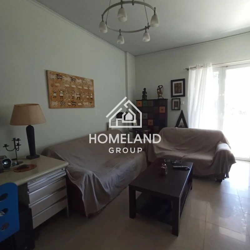 homelandgroup real estate agency