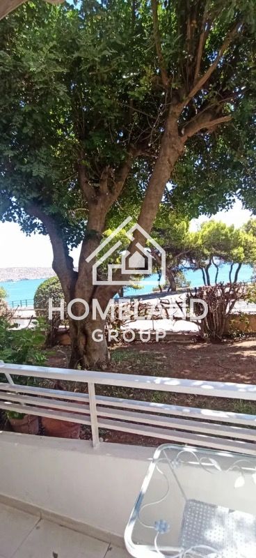 homelandgroup real estate agency