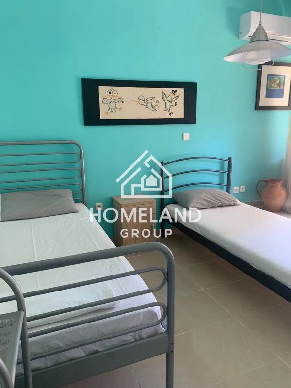 homelandgroup real estate agency