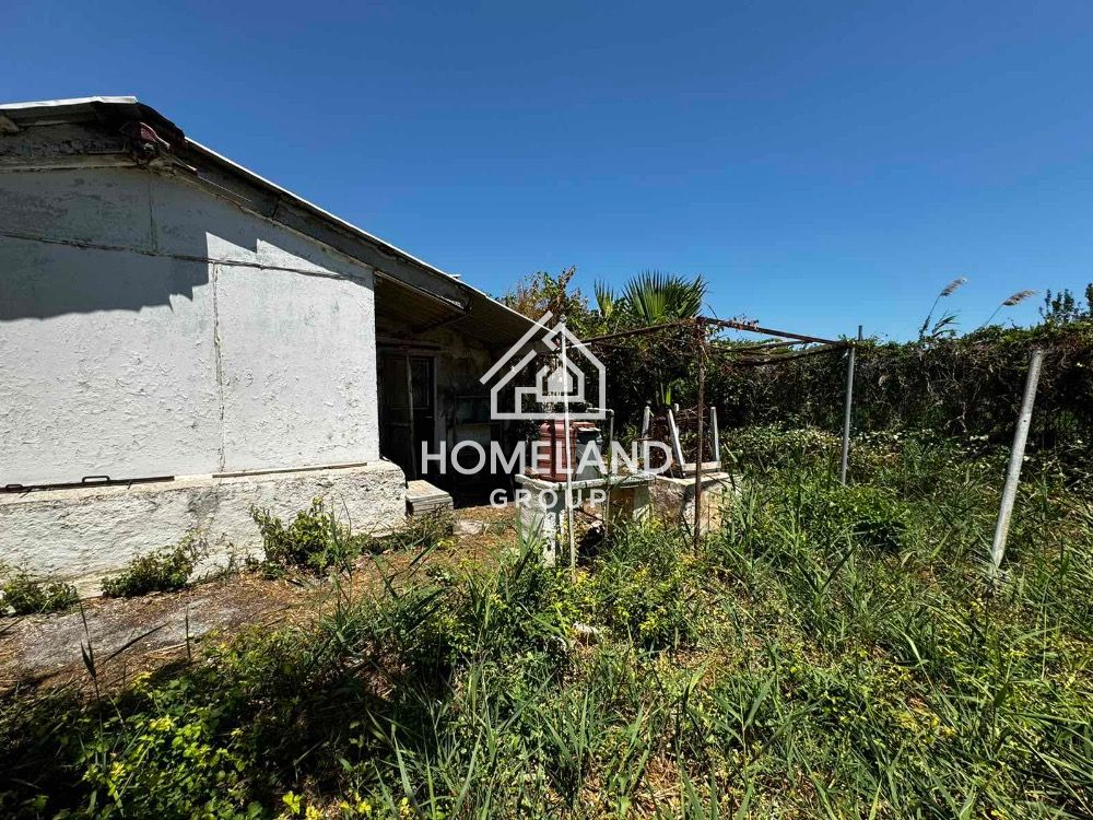 homelandgroup real estate agency