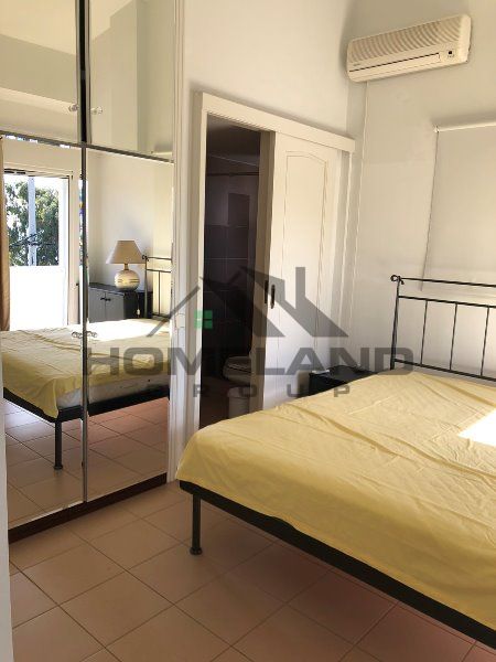 homelandgroup real estate agency