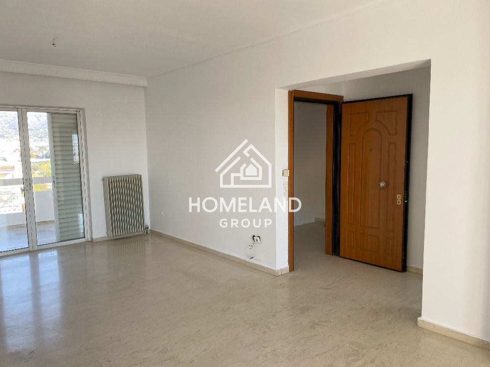 homelandgroup real estate agency