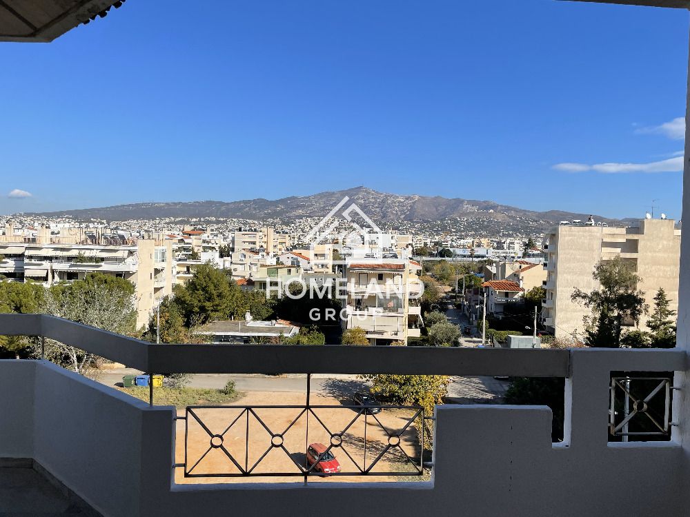 homelandgroup real estate agency