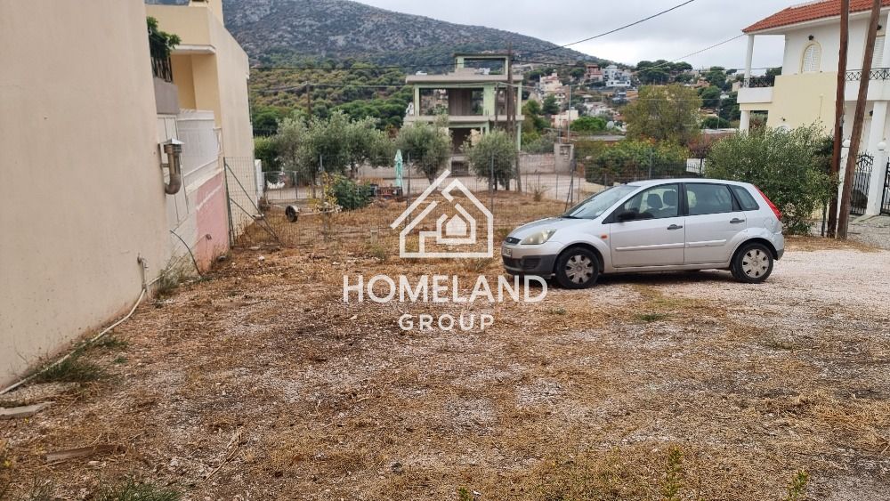 homelandgroup real estate agency