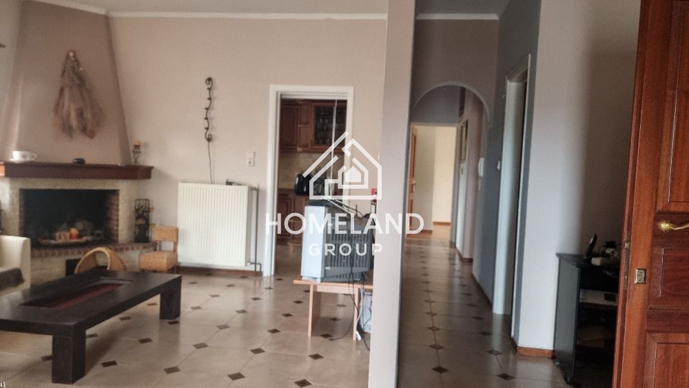 homelandgroup real estate agency