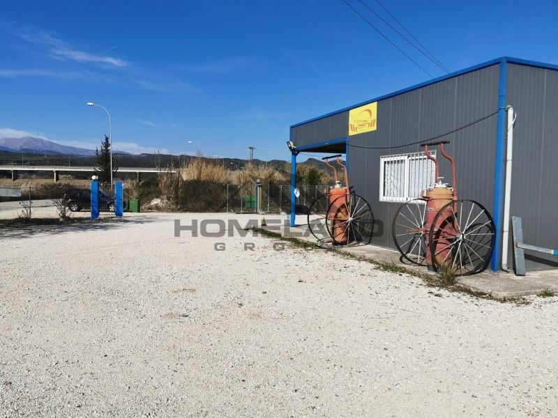 homelandgroup real estate agency