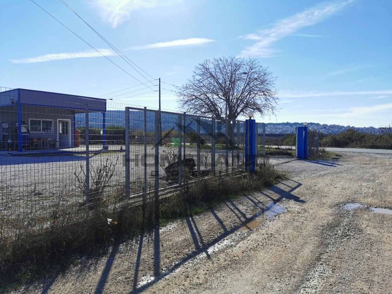 homelandgroup real estate agency