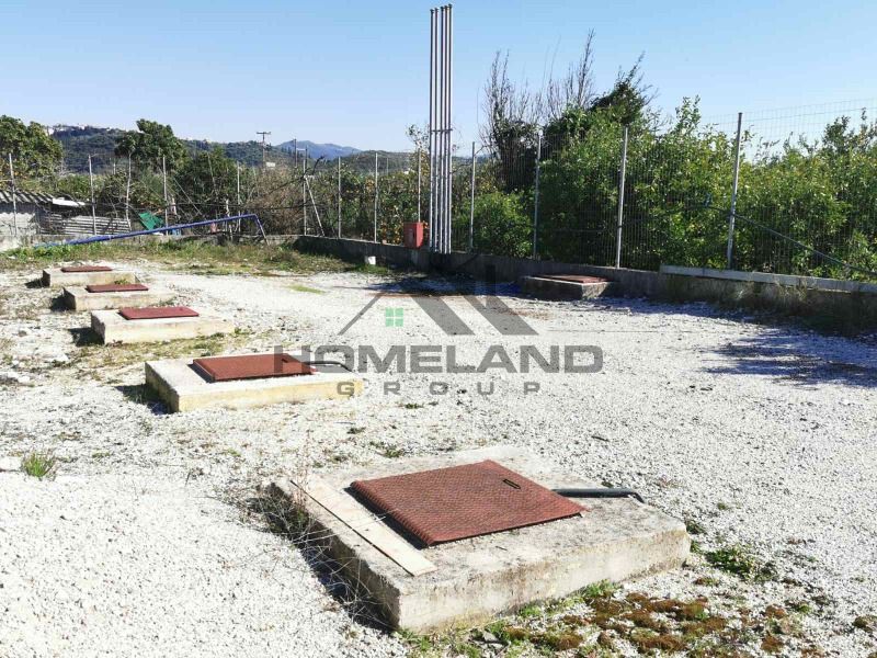 homelandgroup real estate agency